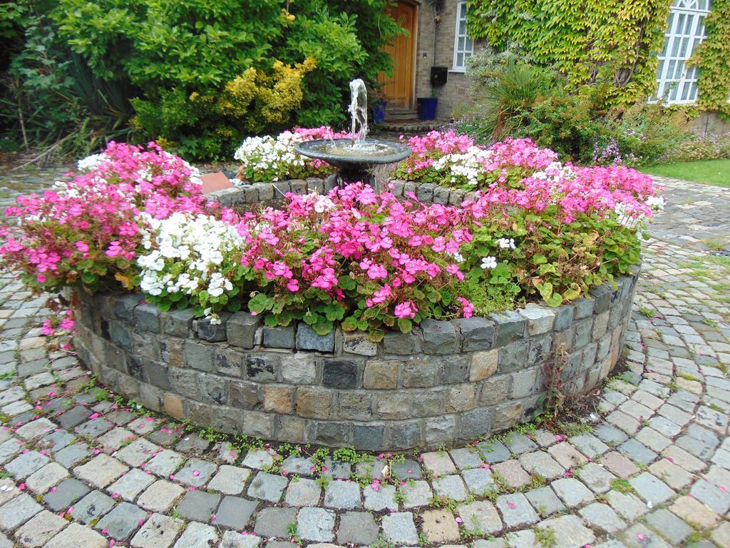 Roseview B&B Rhyl Eksteriør bilde